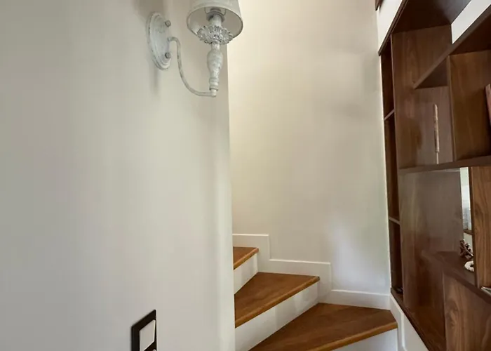 Mont Et Sapin Vitina